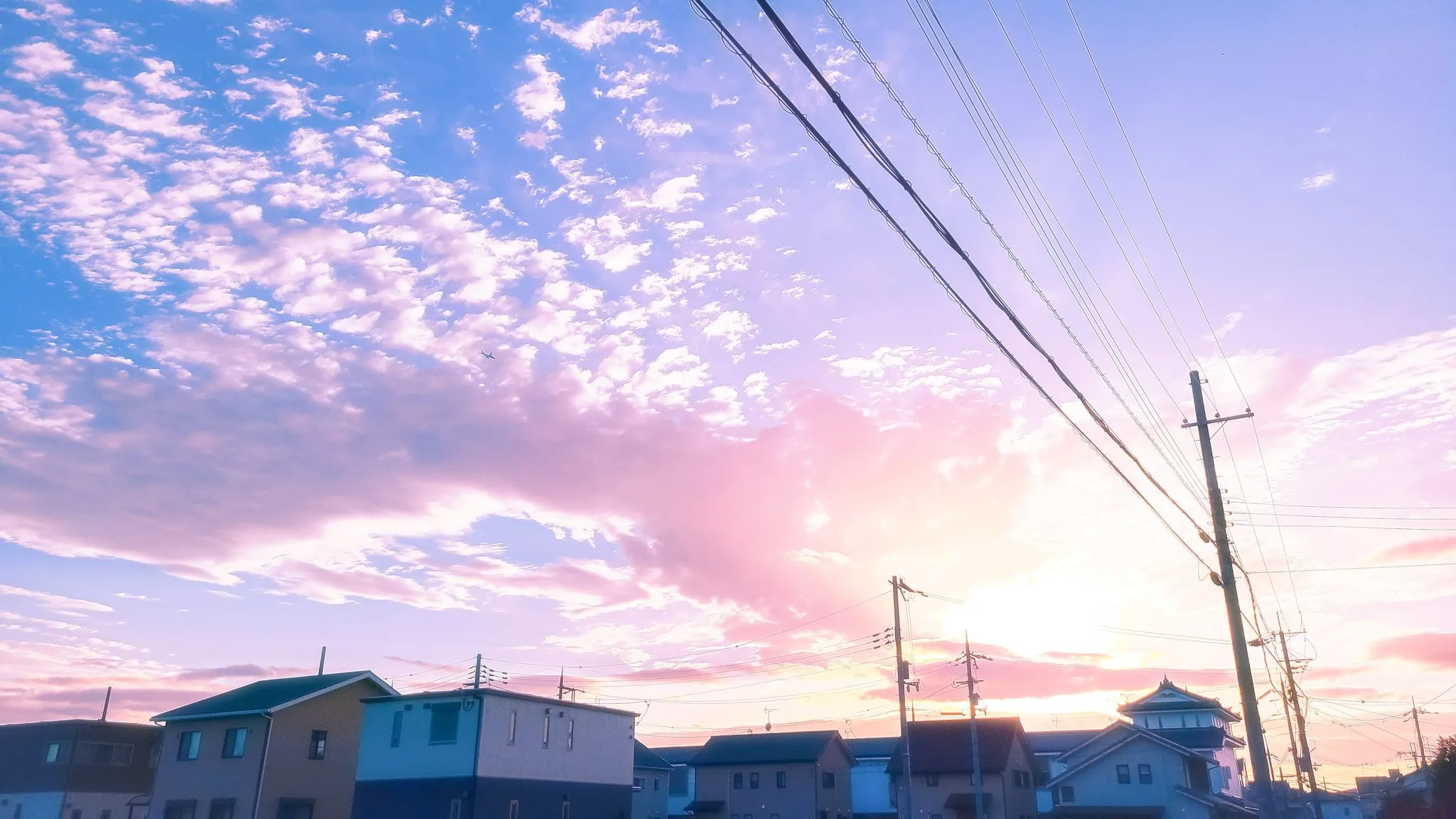 Banner image of the blog